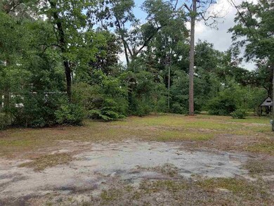 0 Brown Blvd, Crawfordville, FL 32327 - photo 6