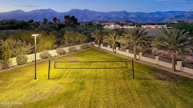 Backyard drone3