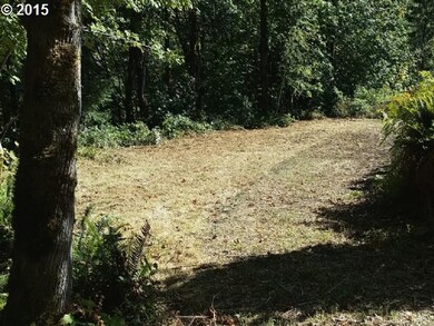 0 Two Lakes Ln unit 10 15115082, Triangle Lake, OR 97412 - photo 6