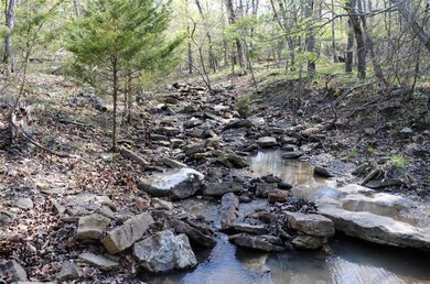 14687 Slaty Gap Rd, West Fork, AR 72774 - photo 7