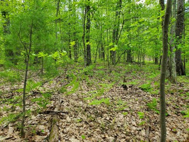 0 50th unit 20019251, Bitely, MI 49309 - photo 5