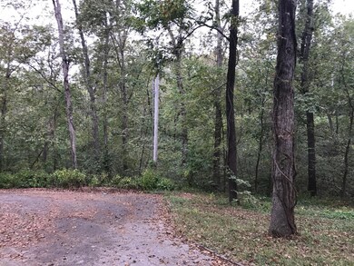 4210/4211 Serenity Ln, Nixa, MO 65714 - photo 4