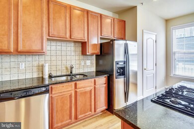 905 Hidden Marsh St, Gaithersburg, MD 20877 - photo 5
