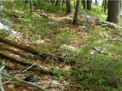 88B Rattlesnake Island, Alton, NH 03809 - photo 5