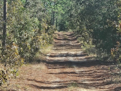 13099 SW 92nd Place, Rainbow Springs, FL 34431 - photo 3