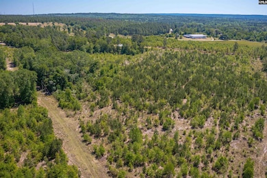 tbd Mack St, Gaston, SC 29053 - photo 3