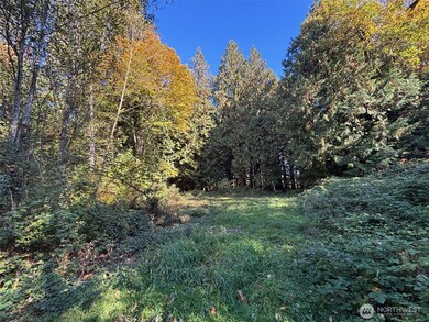 2046 Burk Rd, Blaine, WA 98230 - photo 7