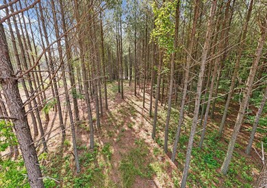 02-DJI_20250611092207_0028_D