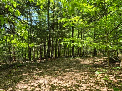 Lot 36D Foster Ln, Belgrade, ME 04918 - photo 3