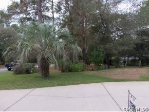 9900 SW 206th Cir, Dunnellon, FL 34431 - photo 3