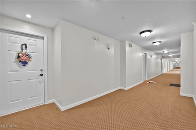 23003 Chandlers Ln unit 219, Olmsted Falls, OH 44138 - photo 4