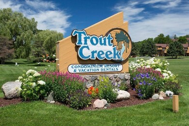 Trout Creek