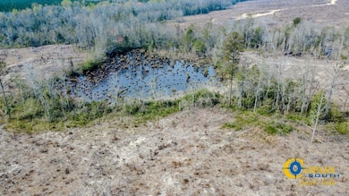 0 N Indian Trail Rd, Sandersville, GA 31082 - photo 6