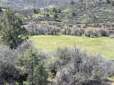 Unit 2 Lot 57 Dennis Place unit 2, Hornbrook, CA 96044 - photo 4