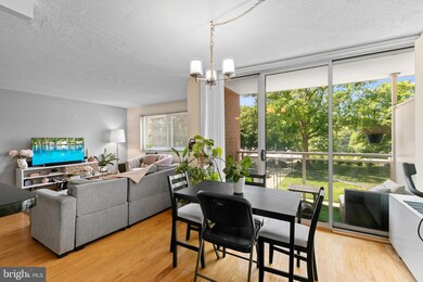 Takoma Overlook Condominium unit 214, Takoma Park, MD 20912 - photo 4