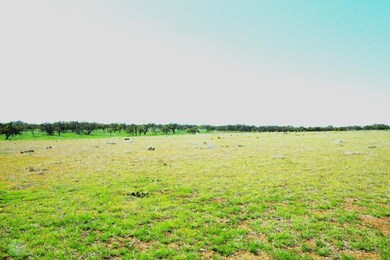 # 13 S Ranch Road 783 unit 13, Harper, TX 78631 - photo 3