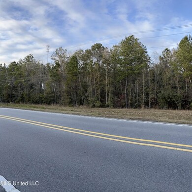 S Leetown and Highway 43, Picayune, MS 39466 - photo 6