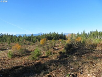 0 Wayne Rd W unit 4 & 5 19216783, Seabeck, WA 98380 - photo 5