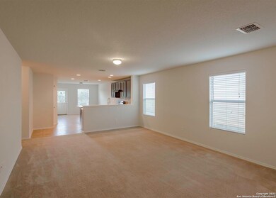 24310 Invitation Oak, San Antonio, TX 78261 - photo 2