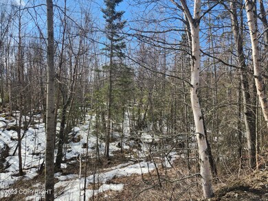 Pic of 4.3 acres 3
