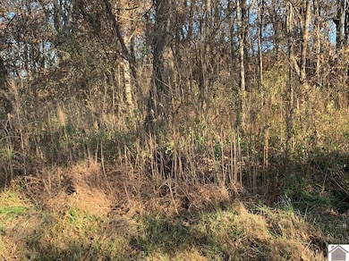 000 Gholson Rd, West Paducah, KY 42086 - photo 5