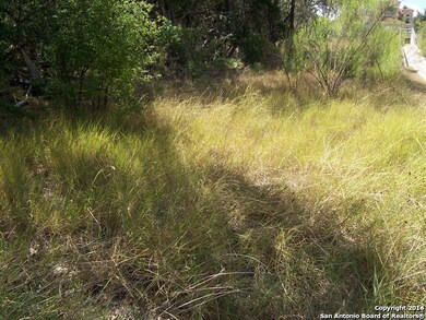 8503 Camp Verde Rio, San Antonio, TX 78255 - photo 5