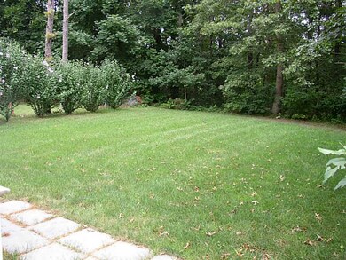 Yard/Garden.
