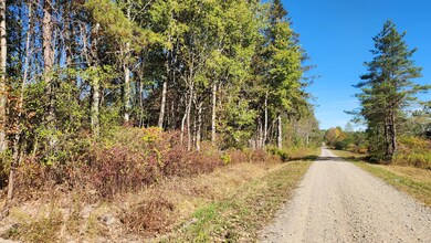 0 Wagner Rd unit 25650308, Dansville, NY 14437 - photo 6