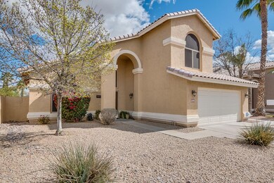 Desert Landscaping