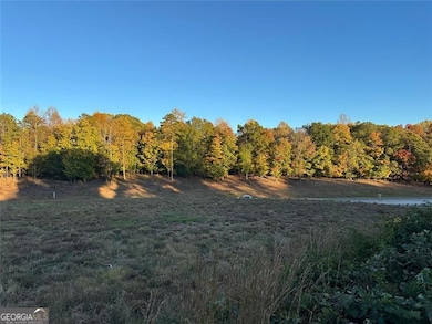 2046 Old Cornelia Hwy, Gainesville, GA 30501 - photo 4