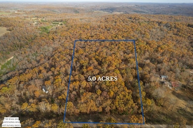 Lot 28 County Road 555 C, Bayou I Township, MO 65760 - photo 4