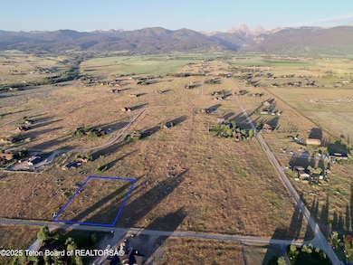 ONeil Saddlehorn A-0011 (4)