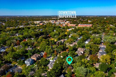 725 S Sleight St, Naperville, IL 60540 - photo 6