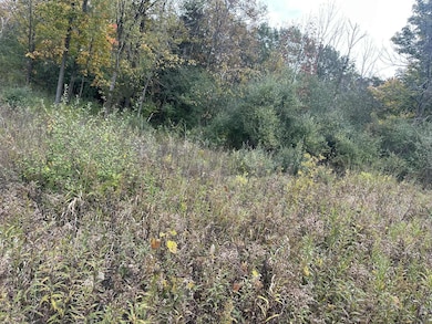 Lt2 Beaver Dam Rd, West Bend, WI 53090 - photo 2