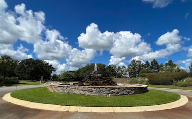 2150 Currituck Dr unit Lot 240, Sumter, SC 29153 - photo 7