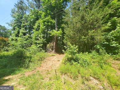 4244 Bradley Dr SW, Snellville, GA 30039 - photo 2