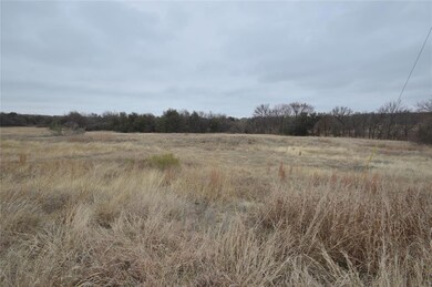 118 White Wing Ct, Weatherford, TX 76088 - photo 4