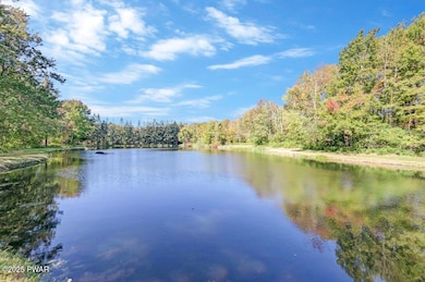 100 Spring Hill Rd, Moscow, PA 18444 - photo 6