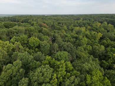 2750 Nortonville Rd, Franklin, IL 62638 - photo 4