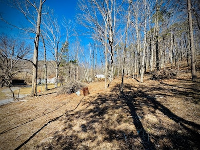 Front Portion of lot
