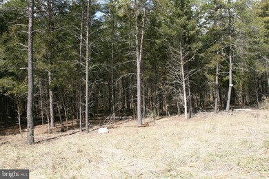 0 Queenship Ln unit 1000141317, Berryville, VA 22611 - photo 6