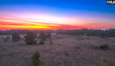 0 Athens Field Rd unit 622827, Swansea, SC 29160 - photo 2