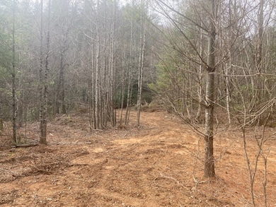 0 Flea Mountain Rd unit 417912, Murphy, NC 28906 - photo 3