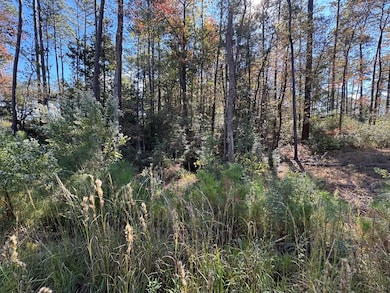 051 Private Road 6028, Brookeland, TX 75931 - photo 4