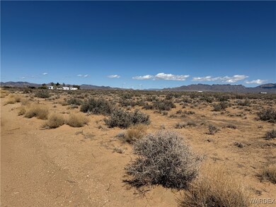 2.5 AC Bonita Dr, Dolan Springs, AZ 86441 - photo 5