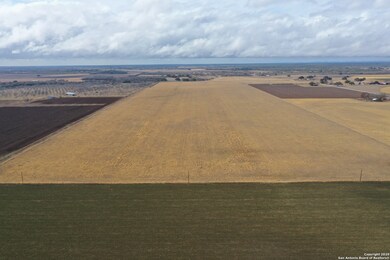 TBD County Road 441, Hondo, TX 78861 - photo 6