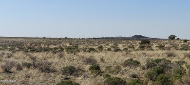 6232 S Prairie Grass Ln unit 294, Williams, AZ 86046 - photo 2
