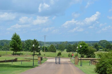 Looking East