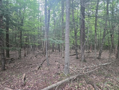 unnamed (4)