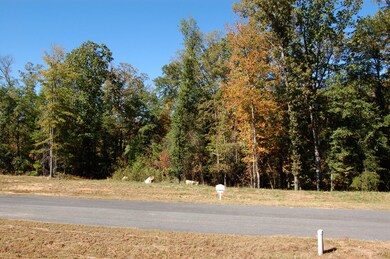 1170 Waterstone Dr, Madison, GA 30650 - photo 2